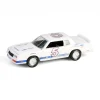 1/64 1983 Chevrolet Monte Carlo, Hendrick Motorsports First Test Car Tribute, Hobby Exclusive