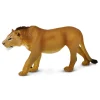 Adolescent Male Lion by Safari