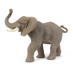 African Elephant by Safari