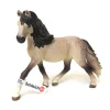 Andalusian Mare (Horse) by Schelich