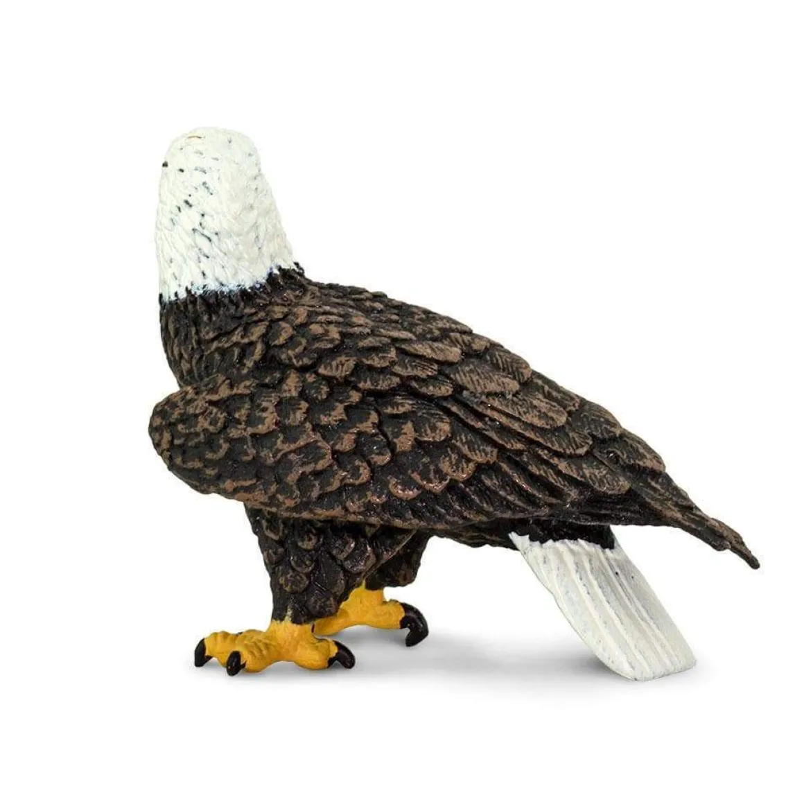 Bald Eagle by Safari
