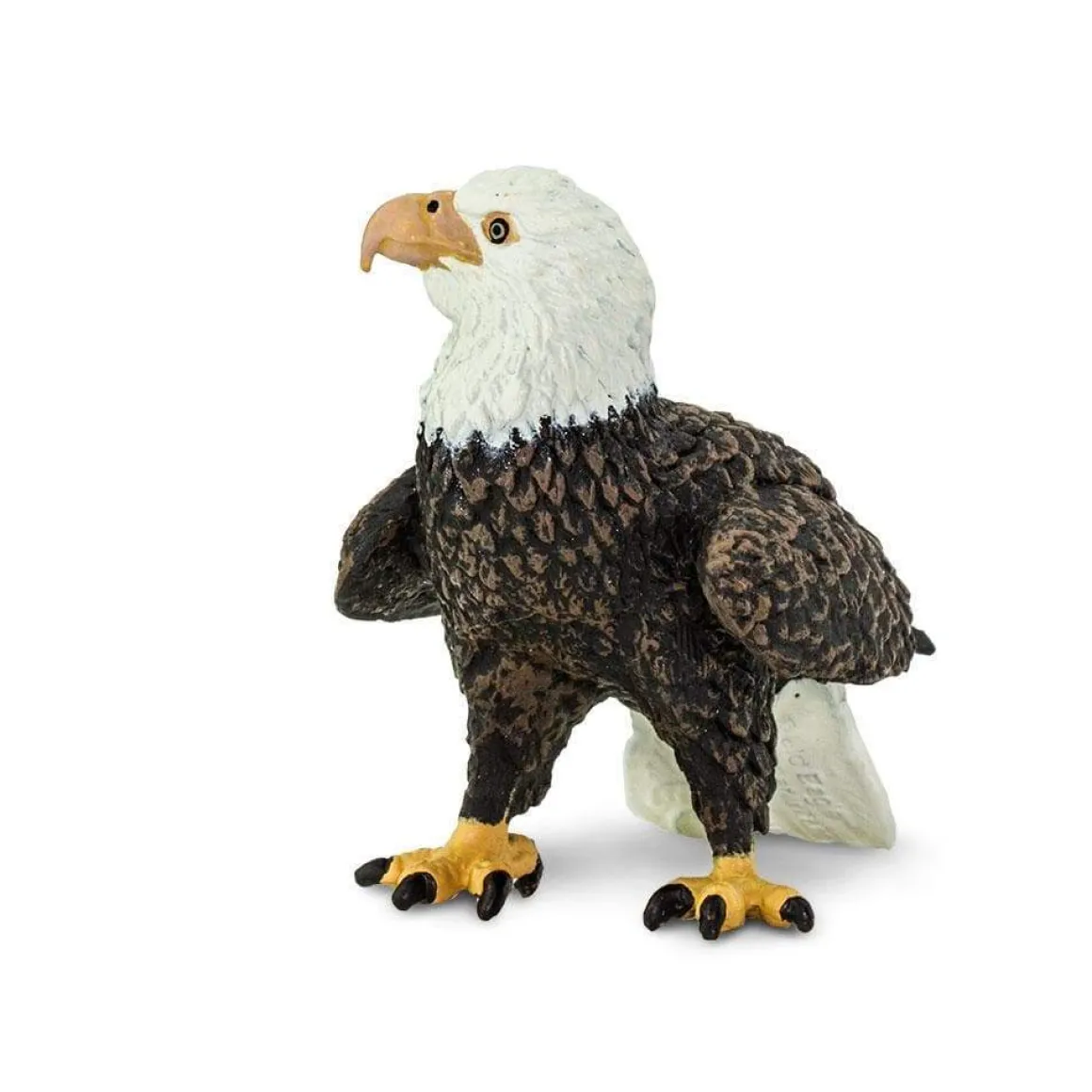 Bald Eagle by Safari