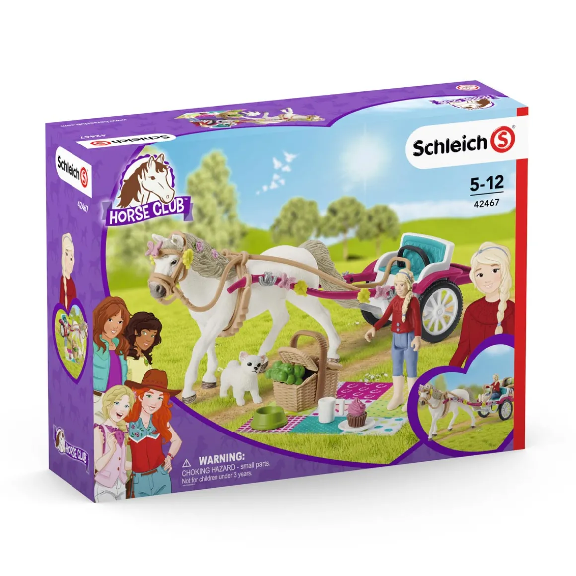 Carriage Ride with Picnic by Schleich