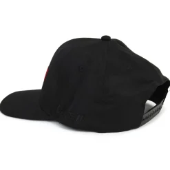 Case IH Agriculture Black Cap
