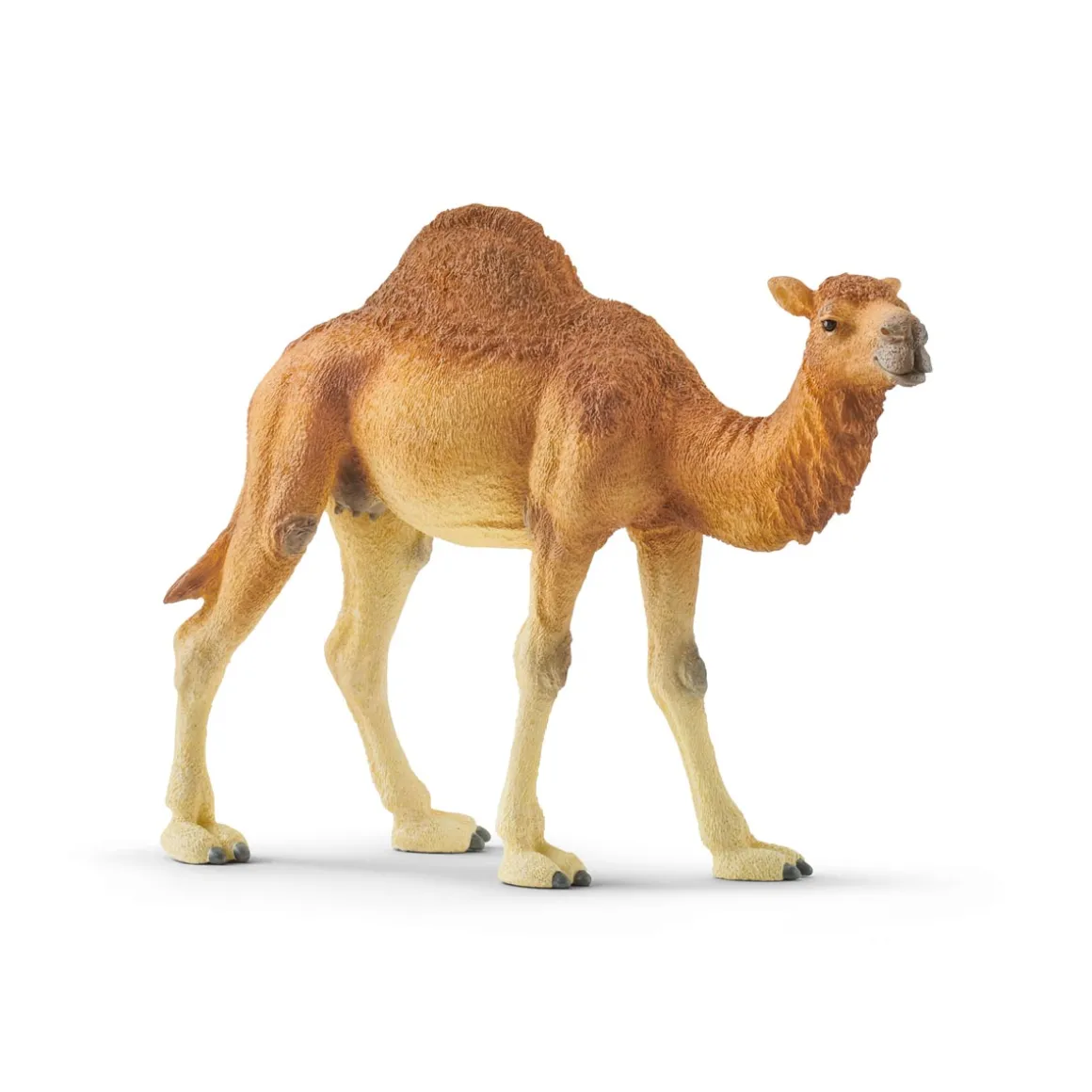 Dromedary Camel by Schleich