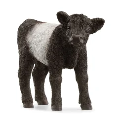 Galloway Calf by Schleich