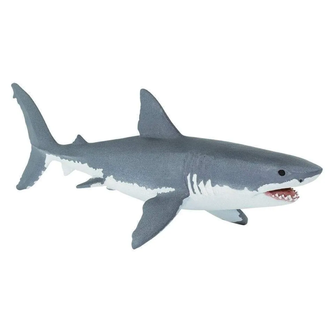 Great White Shark by Safari