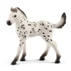 Knabstrupper Foal by Schleich