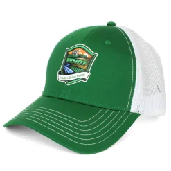 Leaders Drive Fendt Green & White Mesh Back Hat