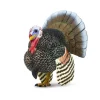 Male Turkey by Safari Ltd