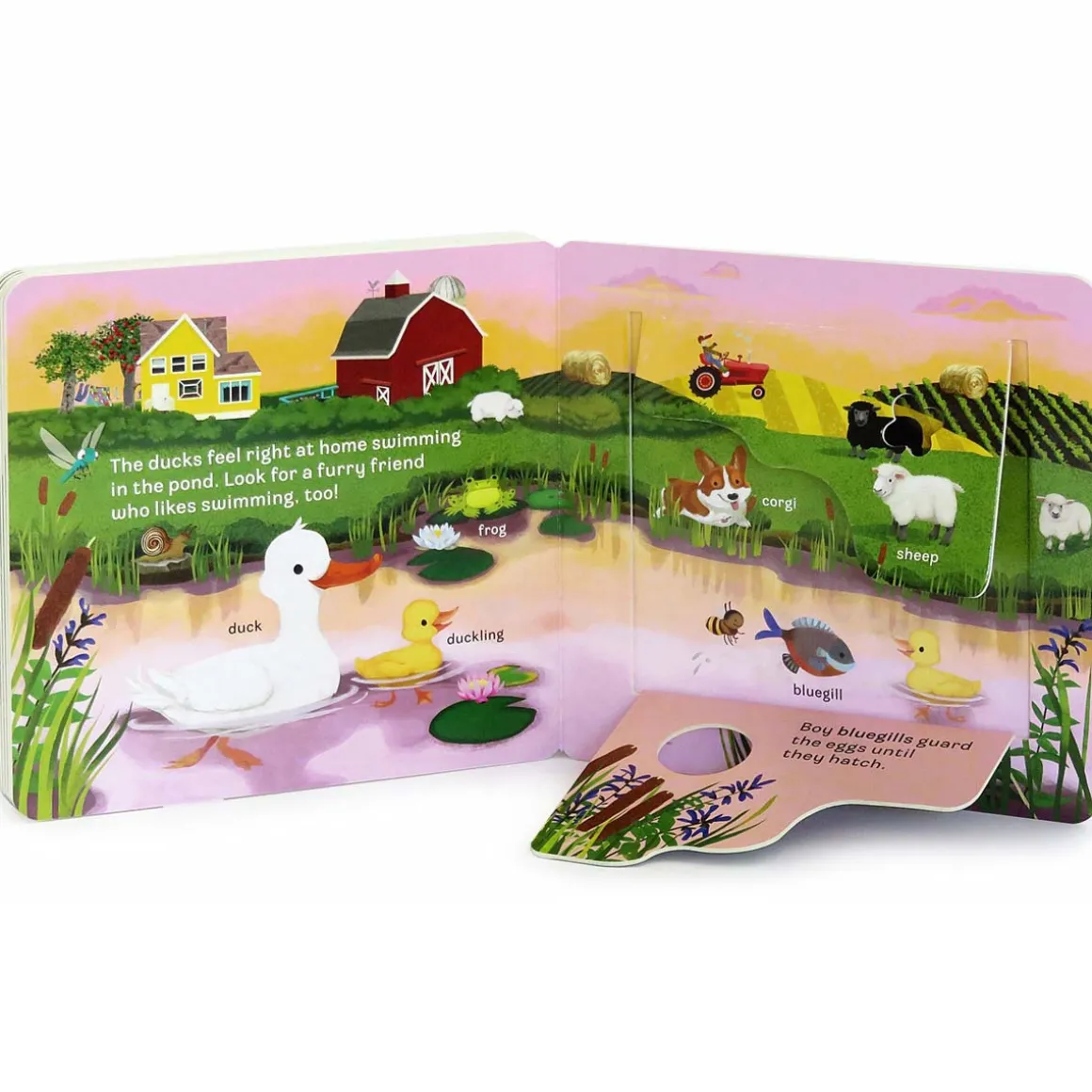 Moo Peek-a-Flap Board Book