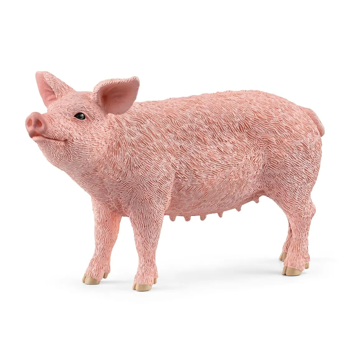 Pig by Schleich