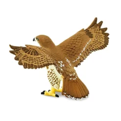 Red-tailed Hawk by Safari