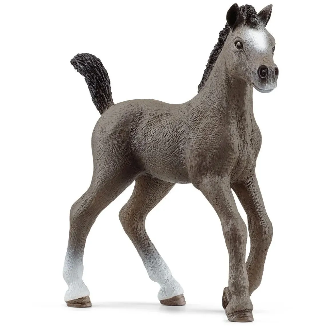 Selle Francais Foal by Schleich