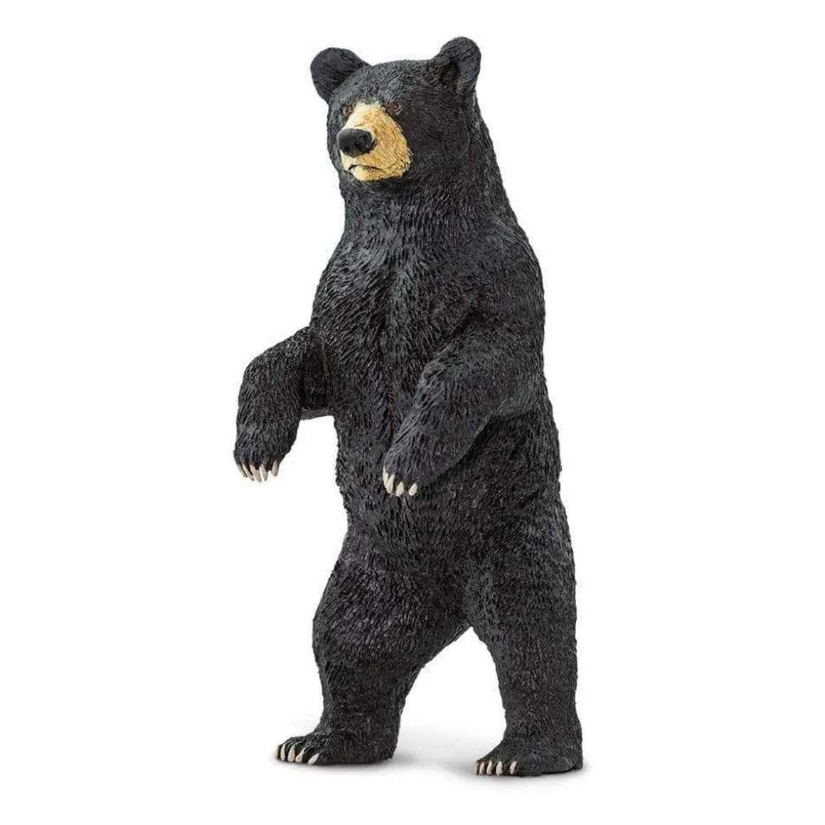 Standing Black Bear by Safari Ltd