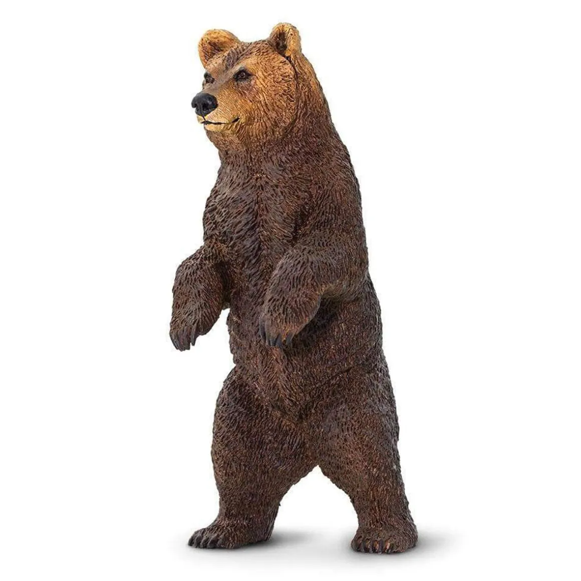 Standing Grizzly Bear by Safari Ltd