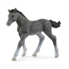 Trakehner Foal by Schleich