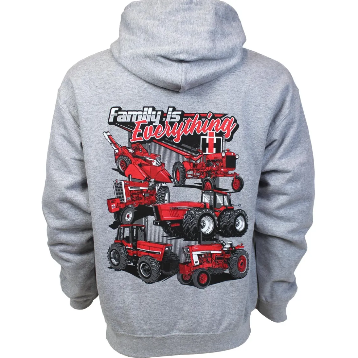 Youth IH Family is Everything Grey Hooded Sweatshirt